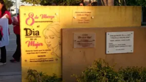 San Javier conmemoró el Octubre Rosa con una emotiva caminata por la concientización del cáncer de mama (4)
