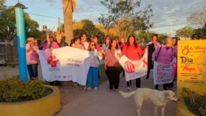 San Javier conmemoró el Octubre Rosa con una emotiva caminata por la concientización del cáncer de mama (5)